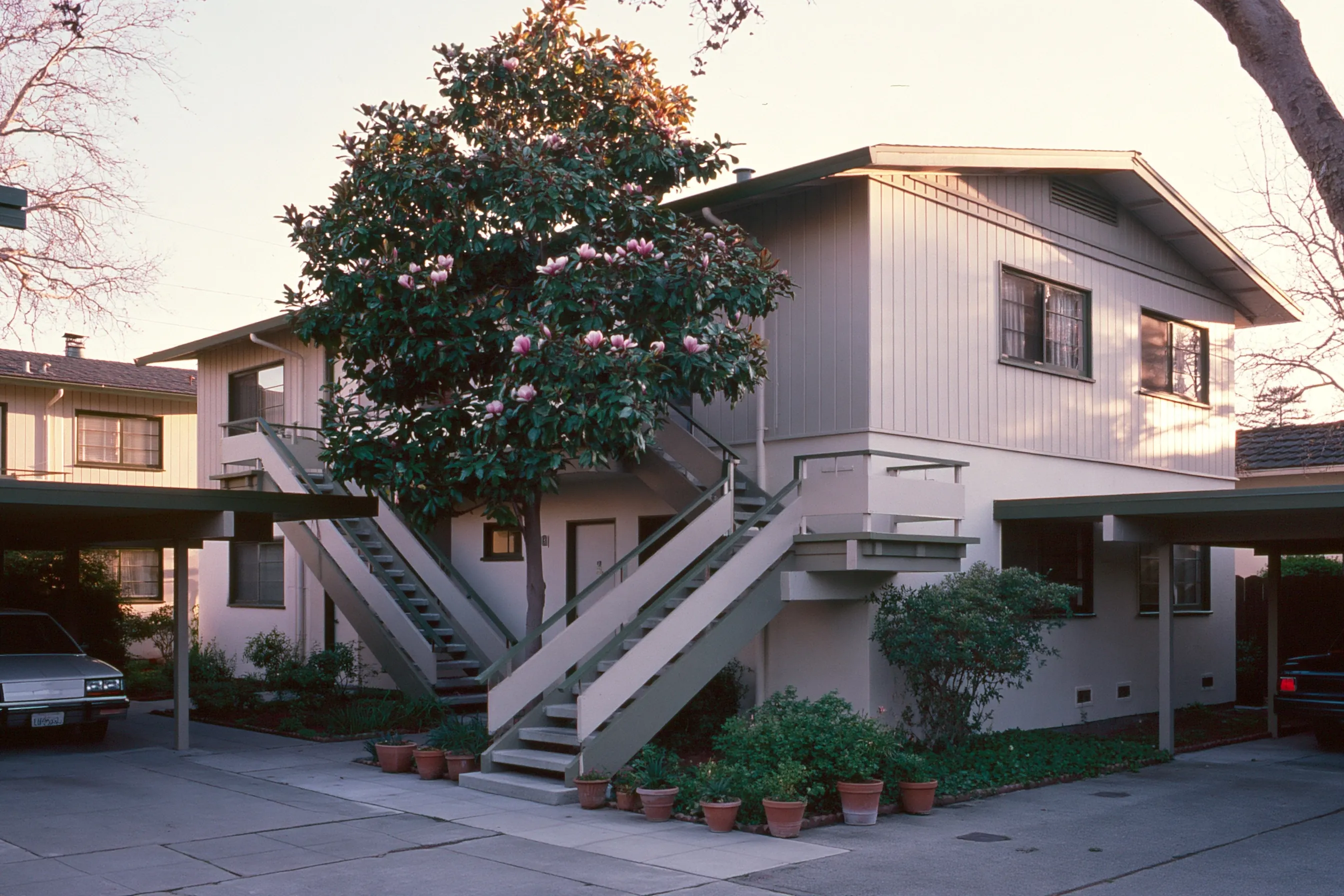 Two-story building with vertical wood siding, outside stairs, carports on both sides and a flowering magnolia tree in front